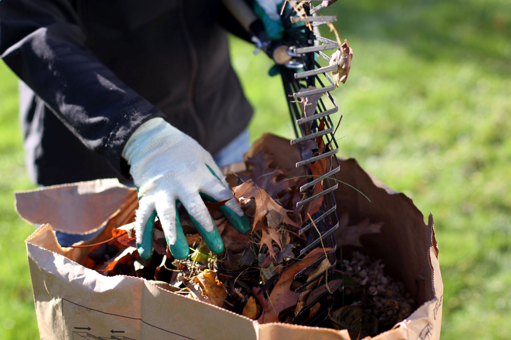 Yard Waste Image