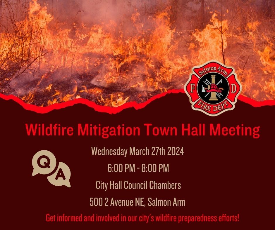 2024 Wildfire Mitigation Town Hall Meeting (1)