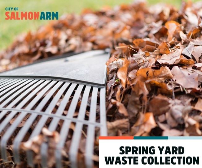 Spring Yard