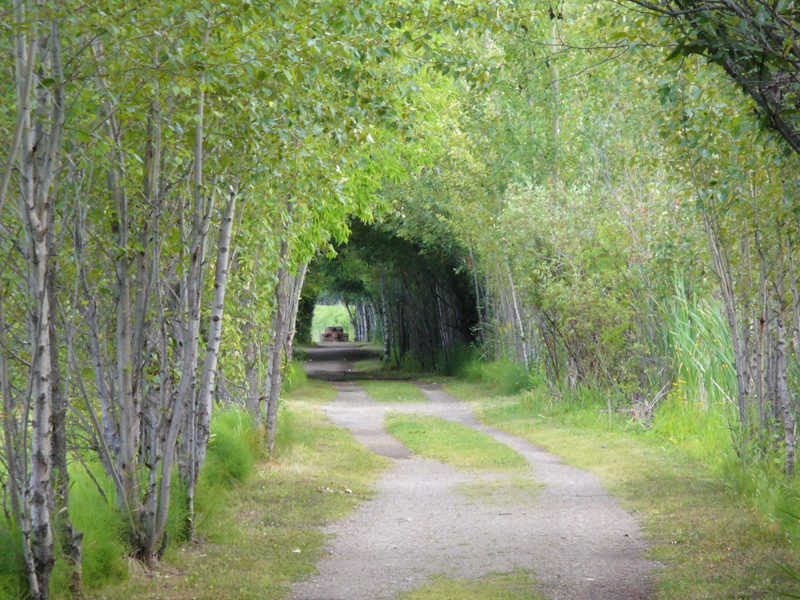 Foreshore Nature Trail